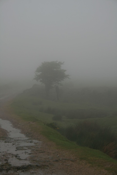 bodmin Moor Nebel Steinkreis Jamaica Inn Daphne de Maurier Annette von Droste Hülshoff