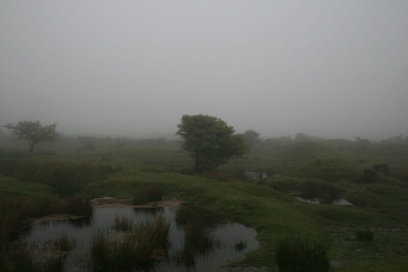 bodmin Moor Nebel Steinkreis Jamaica Inn Daphne de Maurier Annette von Droste Hülshoff