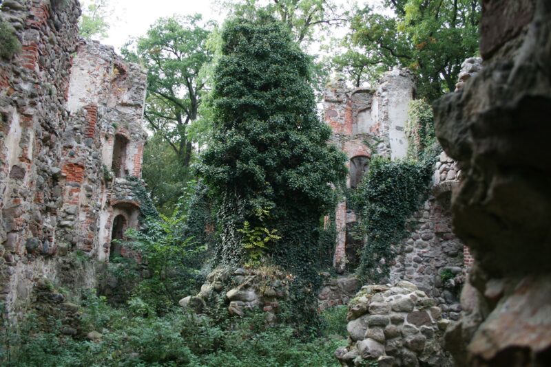 Veste Landskron Burgruine Schlossruine Mecklenburg Vorpommern Caspar David Friedrich