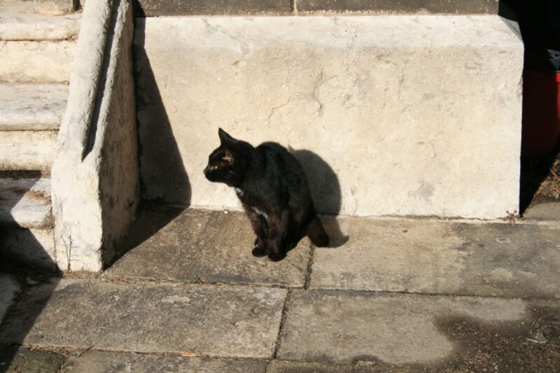 Montjuic Poblenou Friedhof Cemetery Cementerio Barcelona