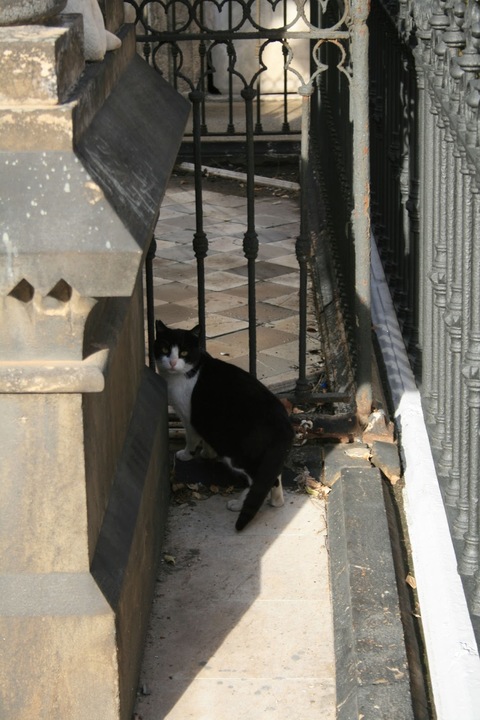 Montjuic Poblenou Friedhof Cemetery Cementerio Barcelona