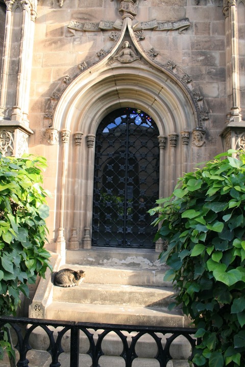 Montjuic Poblenou Friedhof Cemetery Cementerio Barcelona Friedhofskatzen
