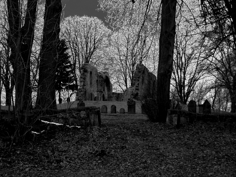 Ruine Rhoden Nordhessen