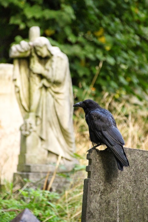 Brompton Cemetery London
