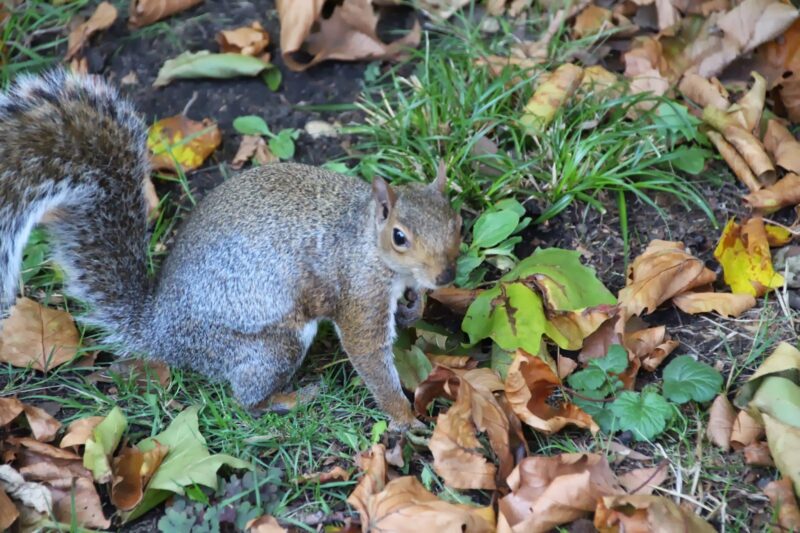 Bunhill Fields Cemetery