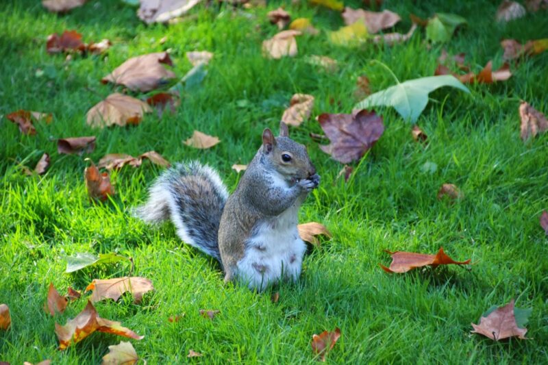 Bunhill Fields Cemetery