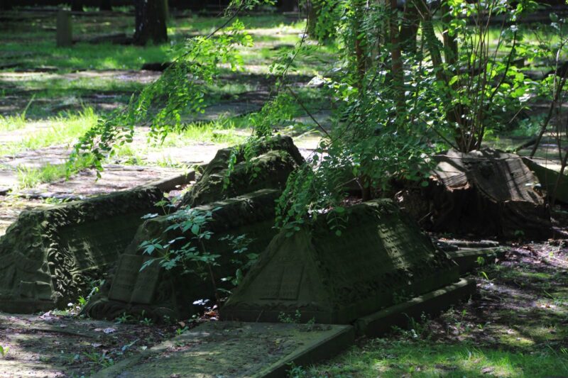 Jüdischer-Friedhof30