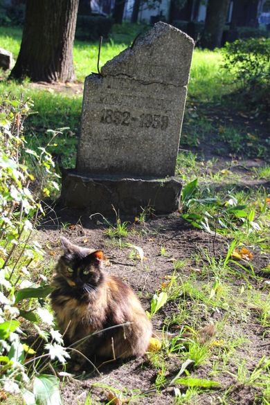 Riga_Friedhof3