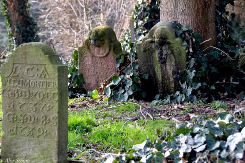 Friedhof Lemgo Sankt Johannes ante Murno