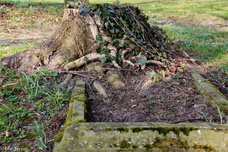 Friedhof_Lemgo_25