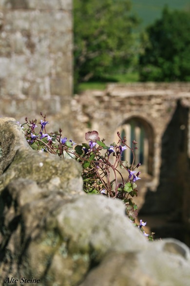 Bodiam_Castle10
