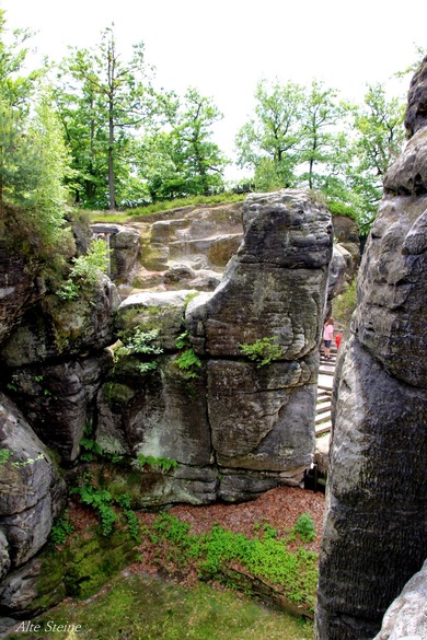 Felsenburg Neurathen