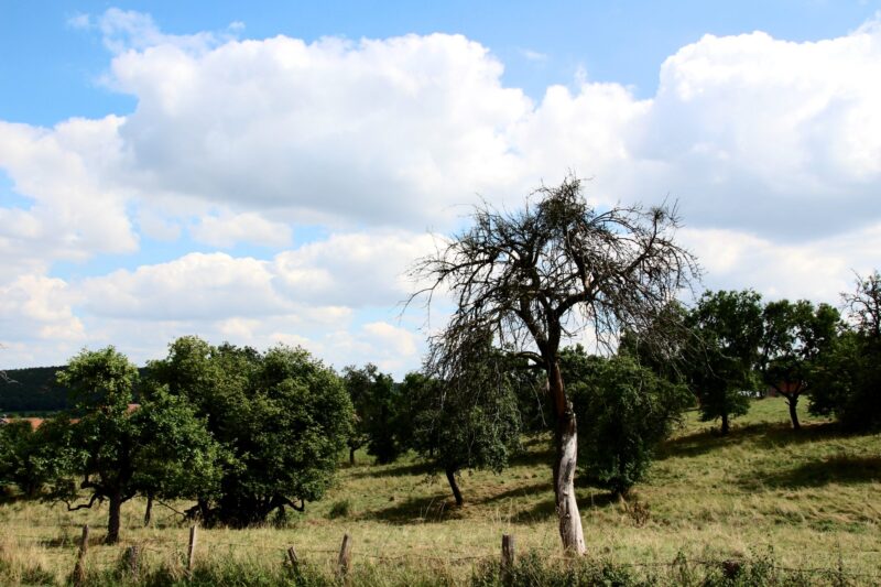 Wandern-bei-Willebadessen-1