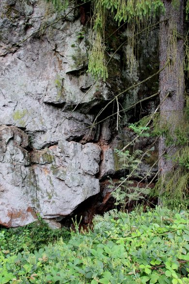 Wanderweg-zu-mystischen-stätten-willebadessen-0