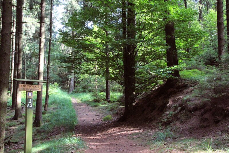 Wanderweg-zu-mystischen-stätten-willebadessen-Karlsschanze-2