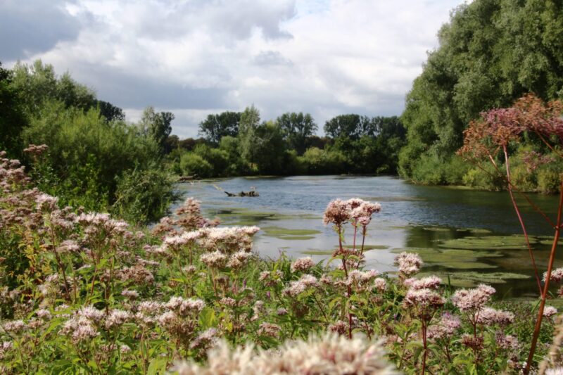 klostermaersch-lippstadt-lippe-aue-fuehrung-2