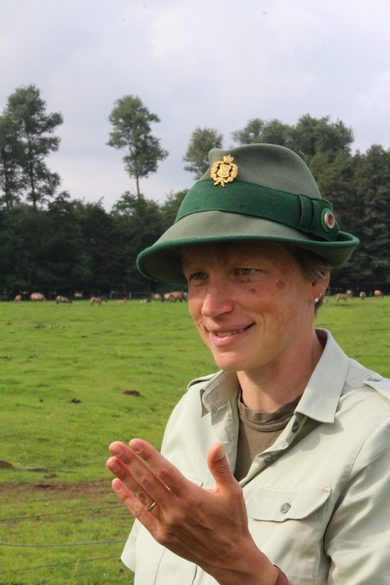 Wildpferde-Dülmen-Merfelder-Bruch-Führung