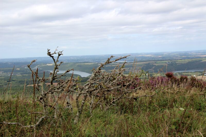 bretagne-menez-hom-wandern-2