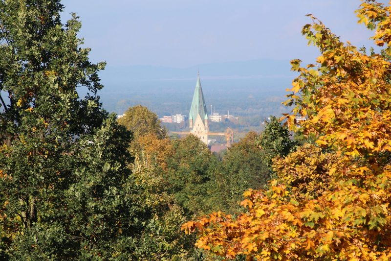 herbstspaziergang