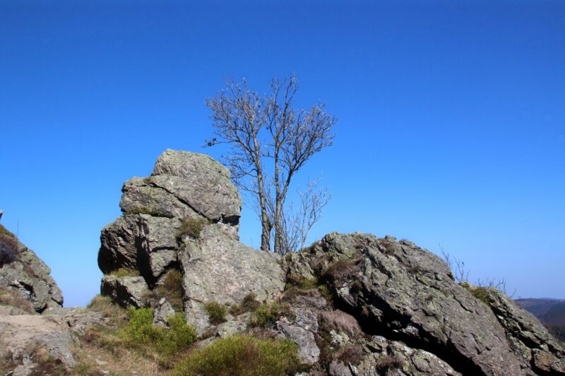 Bruchhauser Steine im Sauerland