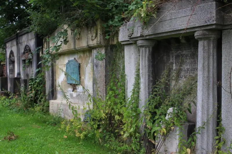 Alter Friedhof in Zwickau