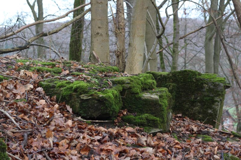 Wallburg, Hünenburg, Paderborner Land