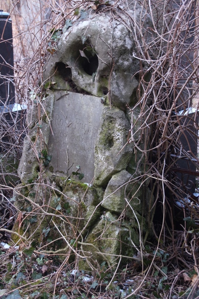 Verfallenes, bewachsenes Grab auf dem jüdischen Friedhof in Wien