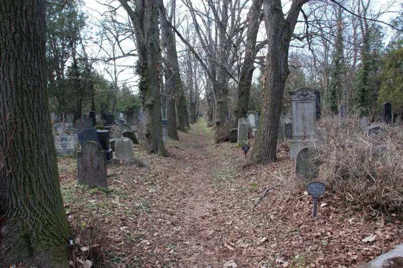 Verfallener jüdischer Friedhof in Wien