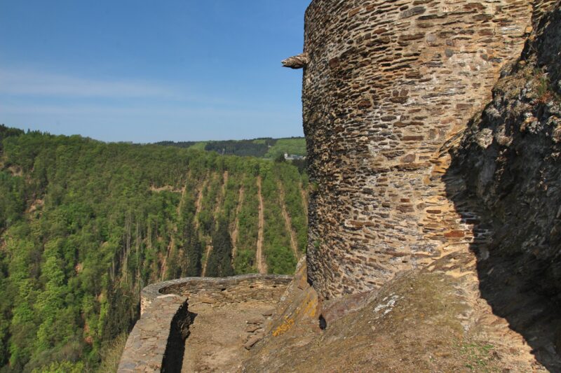 Burg an der Mosel, Burgruine an der Mosel, Burghotel am Rhein
