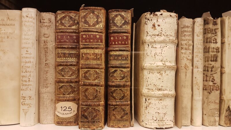 alte Bücher, antiquarische Bücher, Antiquariat, schönste Bibliothek in Deutschland, 