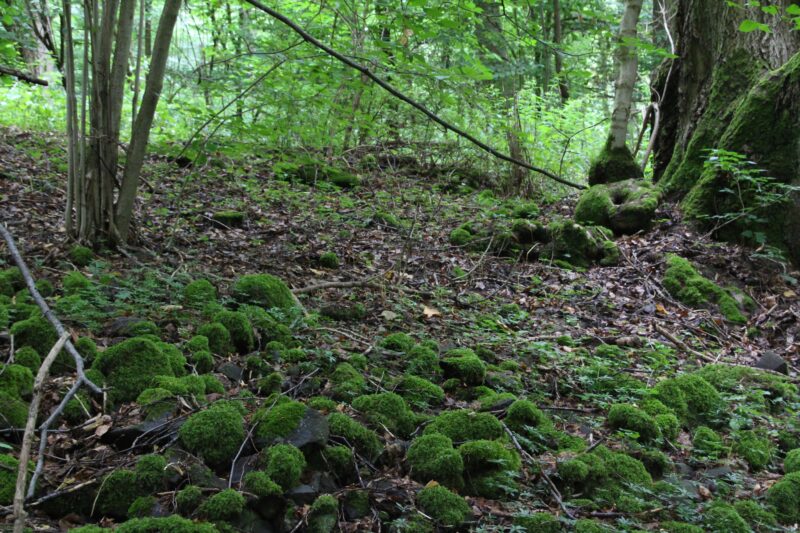 keltische Siedlung, Thüringen, Steinsburg, Römhild