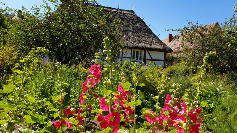 Alte Obstsorten Freilichtmuseum, Alte Gemüsesorten, Schwerin
