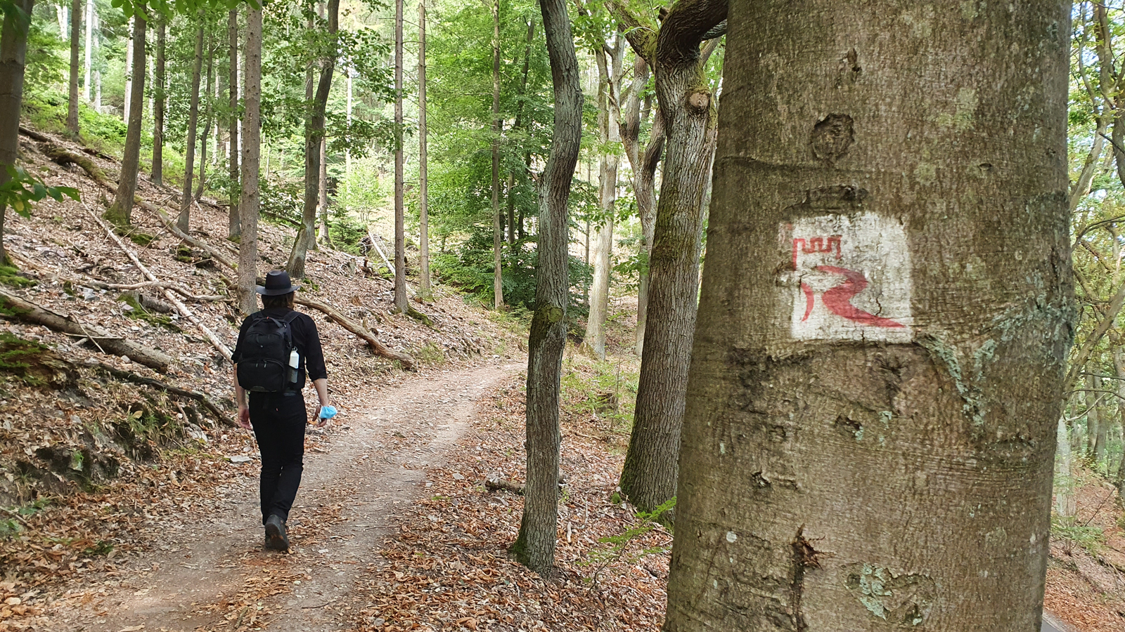 Wanderung ab Bingen, Rundwanderweg ab Bingen, Wandern auf dem Rhein-Burgen-Weg, 