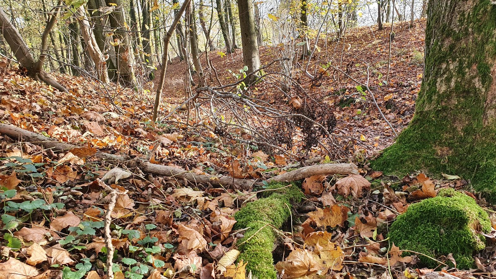 Wandern am Kaiser Wilhelm Denkmal