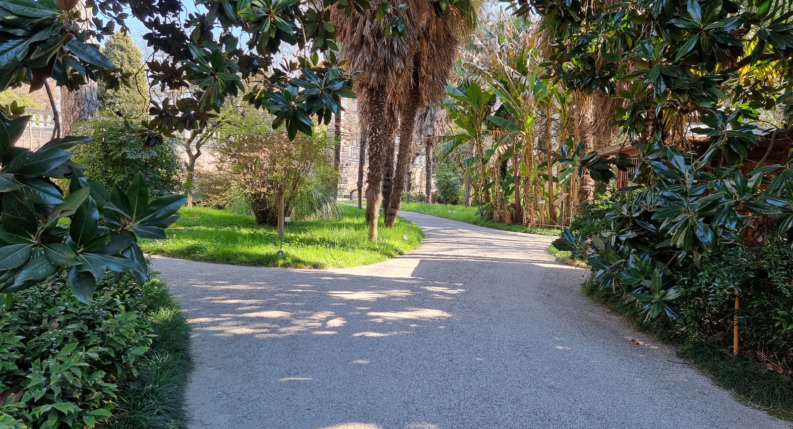 Unesco Welterbe in Padua ist der botanische Garten. Sehenswert in Padua