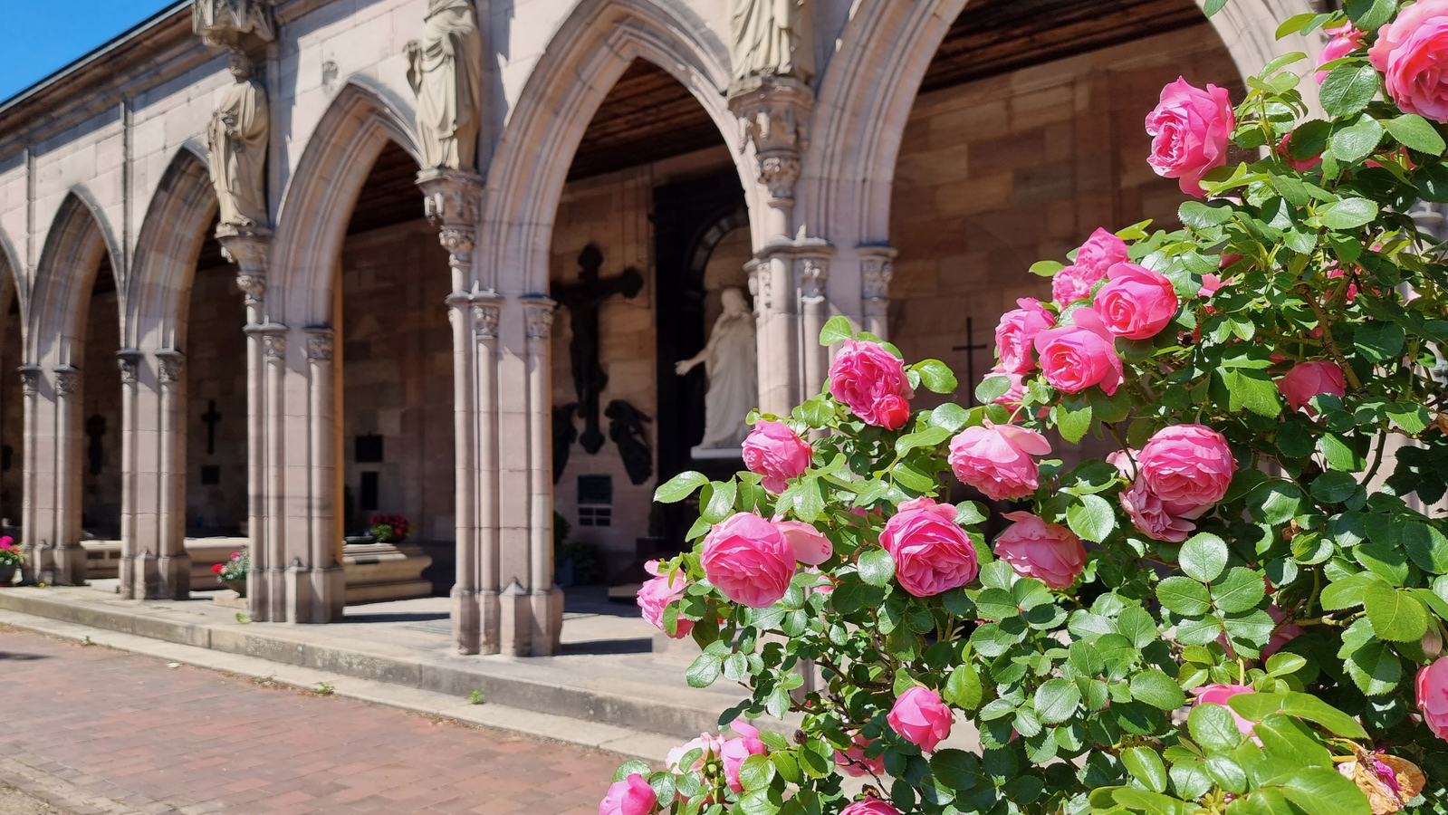 Der Johannisfriedhof von Nürnberg wird auch Rosenfriedhof genannt, denn er ist voller Rosen. 
