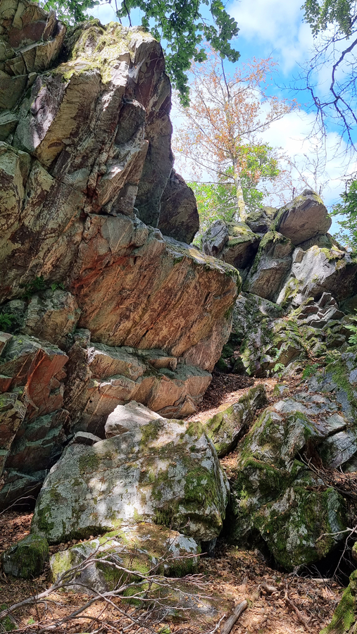 Wandern im Nationalpark Hunsrück-Hochwald, Ausflugstipps im Hunsrück
