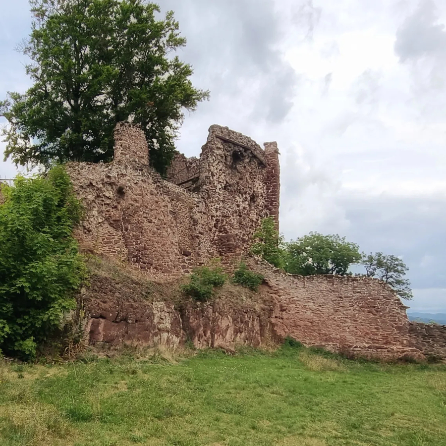 Burgruine Hohnstein, Burg Hohnstein, Burgen im Harz, Ausflugszeiel im Harz, Sehenswürdigkeiten im Südharz