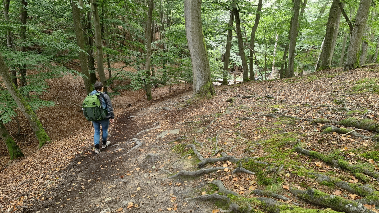 Wanderung im Nationalpark Kellerwald Edersee