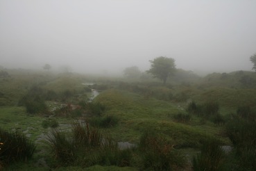 Bodmin Moor im Nebel