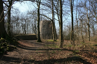 Ruine Iburg im Teutoburger Wald