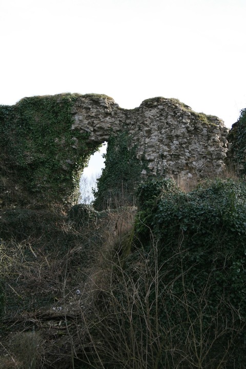 Burgruine Kohlstädt Schlangen Ostwestfalen Veleda