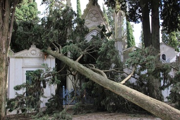 Cemiterio dos Prazeres – Friedhof der Vergnügen, Lissabon