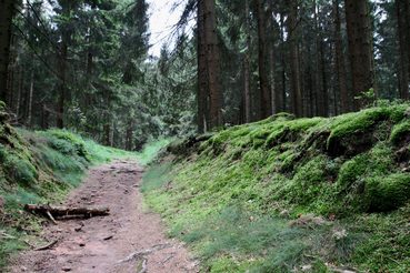 Wanderung zu mystischen Stätten im Eggegebirge