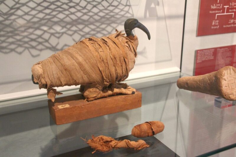 Ägyptische Kunst im Kulturhistorischen Museum von Osnabrück