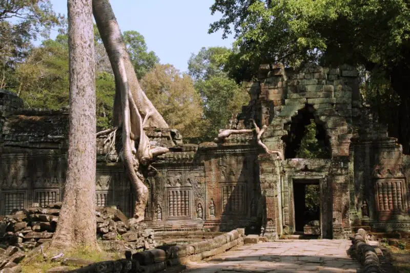 Ta Prohm, Lara Croft Tempel, Tomb Raider Tempel, Angkor Wat, Ruinen im Dschungel