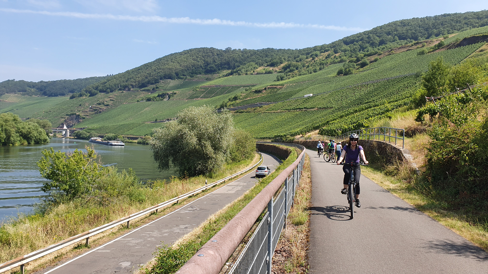 dem rhein entlang mit dem fahrrad