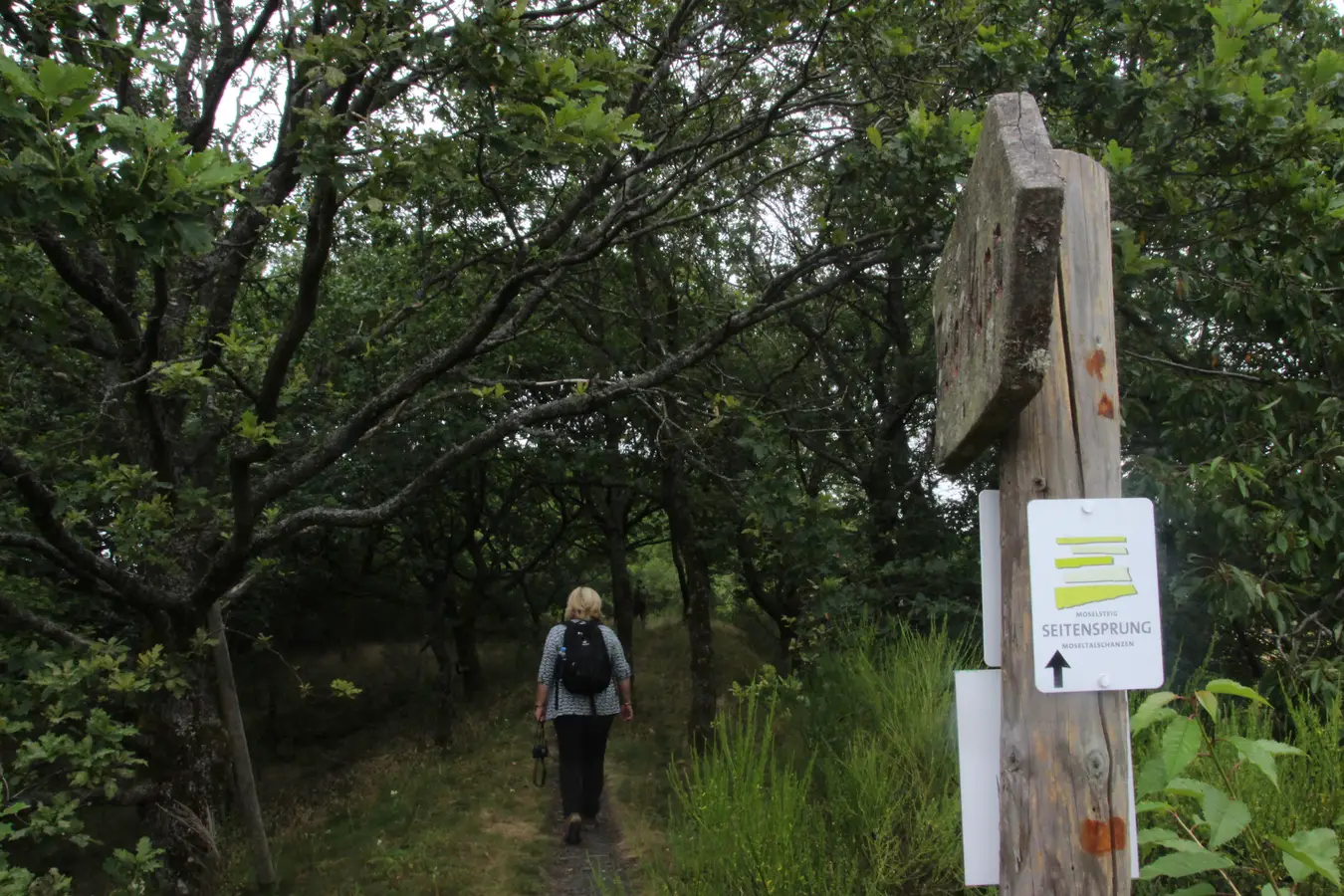 Wanderweg in Traben-Trarbach, Wandern in der Umgebung von Bernkastel-Kues