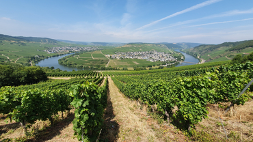 Fahrradtour an der Mosel mit Lauschtour-App