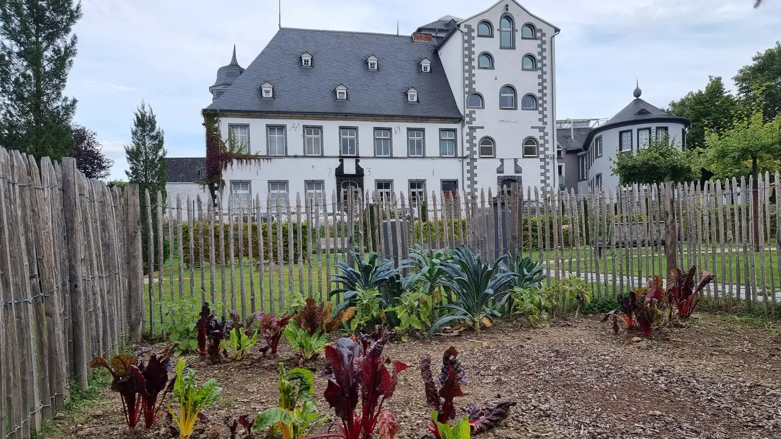 Essbare Stadt Andernach, Urban Gardening, Sehenswerte Städte am Mittelrhein